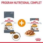 Royal Canin Hair&Skin Care Adult hrana umeda pisica, piele si blana (in sos), 12 x 85 g