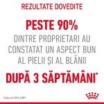 Royal Canin Hair&Skin Care Adult hrana umeda pisica, piele si blana (in sos), 12 x 85 g