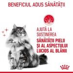 Royal Canin Hair&Skin Care Adult hrana umeda pisica, piele si blana (in aspic), 12 x 85 g