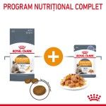 Royal Canin Hair&Skin Care Adult hrana umeda pisica, piele si blana (in aspic), 12 x 85 g