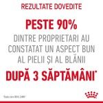 Royal Canin Hair&Skin Care Adult hrana umeda pisica, piele si blana (in aspic), 12 x 85 g