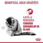 Royal Canin Hairball Care Adult hrana uscata pisica, limitarea ghemurilor de blana, 4 kg