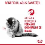 Royal Canin Hairball Care Adult hrana umeda pisica, limitarea ghemurilor de blana (in sos), 12 x 85 g