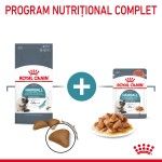 Royal Canin Hairball Care Adult hrana umeda pisica, limitarea ghemurilor de blana (in sos), 85 g 