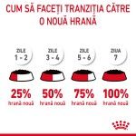 Royal Canin Hairball Care Adult hrana umeda pisica, limitarea ghemurilor de blana (in sos), 12 x 85 g