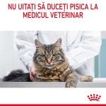 Royal Canin Hairball Care Adult hrana umeda pisica, limitarea ghemurilor de blana (in sos), 12 x 85 g