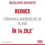 Royal Canin Hairball Care Adult hrana umeda pisica, limitarea ghemurilor de blana (in sos), 12 x 85 g