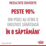 Royal Canin Light Weight Care Adult  hrana uscata pisica, limitarea cresterii in greutate, 8 kg 