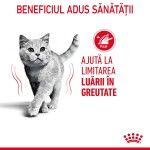 Royal Canin Light Weight Care Adult  hrana uscata pisica, limitarea cresterii in greutate, 8 kg 