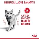 Royal Canin Light Weight Care Adult hrana umeda pisica, limitarea cresterii in greutate (in sos), 12 x 85 g