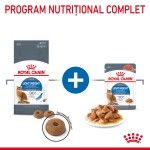 Royal Canin Light Weight Care Adult hrana umeda pisica, limitarea cresterii in greutate (in sos), 12 x 85 g
