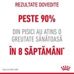 Royal Canin Light Weight Care Adult hrana umeda pisica, limitarea cresterii in greutate (in sos), 12 x 85 g
