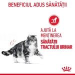 Royal Canin Urinary Care Adult hrana uscata pisica, sanatatea tractului urinar, 400 g 