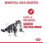Royal Canin Urinary Care Adult hrana umeda pisica, sanatatea tractului urinar (in sos), 12 x 85 g