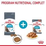 Royal Canin Urinary Care Adult hrana umeda pisica, sanatatea tractului urinar (in sos), 12 x 85 g
