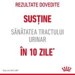 Royal Canin Urinary Care Adult hrana umeda pisica, sanatatea tractului urinar (in sos), 12 x 85 g