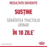Royal Canin Urinary Care Adult hrana umeda pisica, sanatatea tractului urinar (in aspic), 12 x 85 g