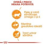 Royal Canin Hair & Skin Care Adult hrana umeda pisica, piele/ blana sanatoase (in sos), 12x85 g