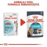 Royal Canin Urinary Care In Gravy, 1 plic x 85 g - nou