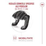 ROYAL CANIN Ageing 11+ hrana uscata pisica senior, 400 g (Hrana Uscata - Pisici)