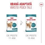 ROYAL CANIN Ageing 11+ hrana uscata pisica senior, 2 kg (Hrana Uscata - Pisici)