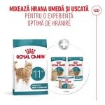 ROYAL CANIN Ageing 11+ hrana uscata pisica senior, 400 g (Hrana Uscata - Pisici)