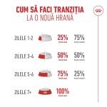 ROYAL CANIN Ageing 11+ hrana uscata pisica senior, 2 kg (Hrana Uscata - Pisici)