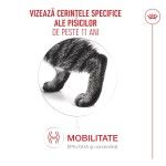 ROYAL CANIN Ageing Sterilised 11+ hrana umeda pisica senior, 85 g (Hrana Umeda - Pisici)