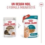 ROYAL CANIN Ageing Sterilised 11+ hrana umeda pisica senior, 85 g (Hrana Umeda - Pisici)