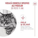 ROYAL CANIN Ageing Sterilised 11+ hrana umeda pisica senior, 85 g (Hrana Umeda - Pisici)