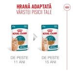 ROYAL CANIN Ageing Sterilised 11+ hrana umeda pisica senior, 12 x 85 g (Hrana Umeda - Pisici)
