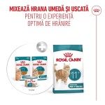 ROYAL CANIN Ageing Sterilised 11+ hrana umeda pisica senior, 12 x 85 g (Hrana Umeda - Pisici)