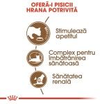 Royal Canin Ageing 12 + hrana uscata pisica senior, 4 kg 
