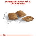 Royal Canin Ageing 12 + hrana uscata pisica senior, 400 g 