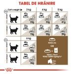 Royal Canin Ageing 12 + hrana uscata pisica senior, 400 g 