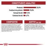 Royal Canin Fit32 Adult hrana uscata pisica, activitate fizica moderata, 400 g 