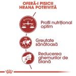 Royal Canin Fit32 Adult hrana uscata pisica, activitate fizica moderata, 400 g 