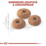 Royal Canin Fit32 Adult hrana uscata pisica, activitate fizica moderata, 400 g 