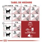 Royal Canin Fit32 Adult hrana uscata pisica, activitate fizica moderata, 400 g 