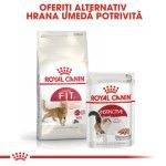 Royal Canin Fit32 Adult hrana uscata pisica, activitate fizica moderata, 400 g 