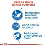 Royal Canin Indoor Adult hrana uscata pisica de interior, 10 kg 