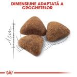 Royal Canin Indoor Adult hrana uscata pisica de interior, 10 kg 