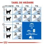 Royal Canin Indoor Adult hrana uscata pisica de interior, 10 kg 