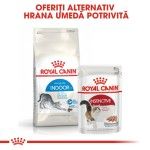 Royal Canin Indoor Adult hrana uscata pisica de interior, 10 kg 