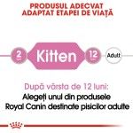 Royal Canin Kitten Instinctive Gravy, 1 plic x 85 g - varsta