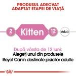 Royal Canin Kitten in Loaf, 1 plic x 85 g - varsta