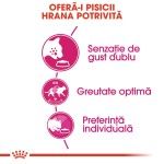 Royal Canin Exigent Savour Adult hrana uscata pisica, apetit capricios, 400 g 