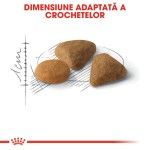 Royal Canin Exigent Savour Adult hrana uscata pisica, apetit capricios, 400 g 