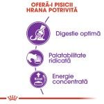 Royal Canin Sensible Adult hrana uscata pisica, digestie optima, 10 kg 