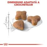 Royal Canin Sensible Adult hrana uscata pisica, digestie optima, 2 kg 